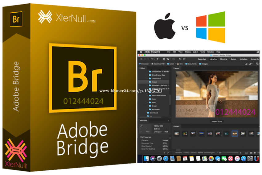 Download Adobe Bridge Premium Software