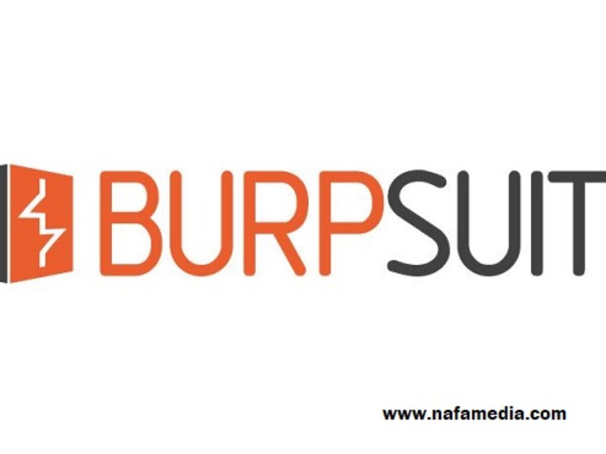 Download Burp Suite Pro Premium Software